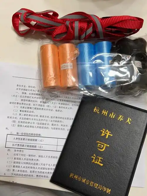 [教程经验] 如何制作仿真证书