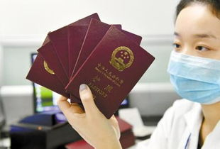 揭秘！西宁证件制作的那些不为人知的秘密